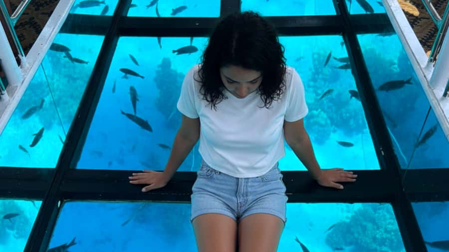 Sharm El-Sheik: Coral Reef Glass-Bottom Boat Tour - The 1-Hour Reality: Timing, Port Wait, and How to Plan