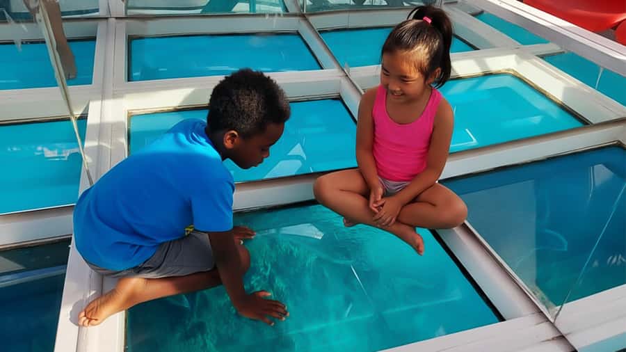 Sharm El-Sheik: Coral Reef Glass-Bottom Boat Tour - Comfort on the Boat: Seaworthy, But Not a Spa Day