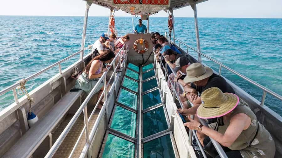 Sharm El-Sheik: Coral Reef Glass-Bottom Boat Tour - The Route: Naama Bay to Near Garden and Far Garden