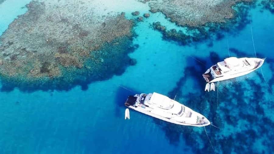 Sharm el-Sheikh: Boat Trip to the White Island & Ras Mohamed - Price and What You Actually Get for $52