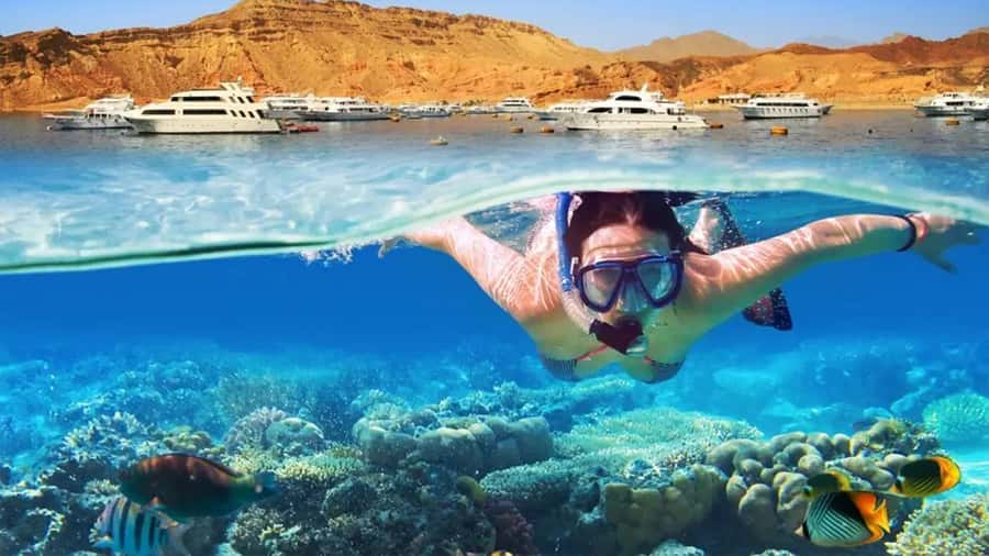 Sharm el-Sheikh: Boat Trip to the White Island & Ras Mohamed - Who This Tour Fits Best (and Who Should Think Twice)
