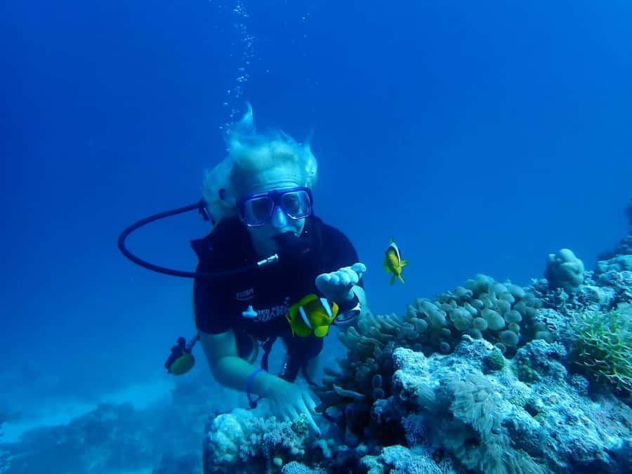 Sharm El Sheikh: Day sail to White island and Ras Mohamed - Ras Mohamed and White Island: the reason this day sail works