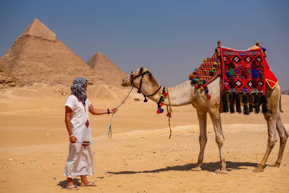 Sharm El-Sheikh: Full-Day Tour of Cairo and Pyramids by Bus - Lunch break and the shop stops you should plan for