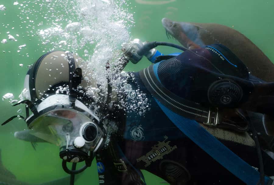 Sharm El-Sheikh: Guided Shore Scuba Diving at 2 Dives - Key points at a glance
