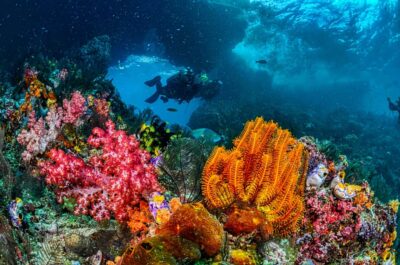Sharm El-Sheikh: Guided Shore Scuba Diving at 2 Dives - How the 4-hour schedule actually feels on your day