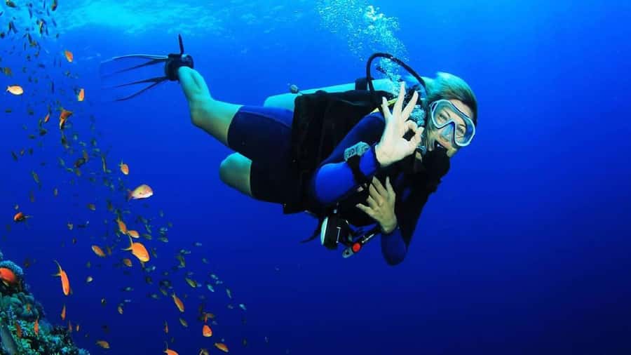 Sharm El-Sheikh: Guided Shore Scuba Diving at 2 Dives - Beginner to experienced: the check-session approach