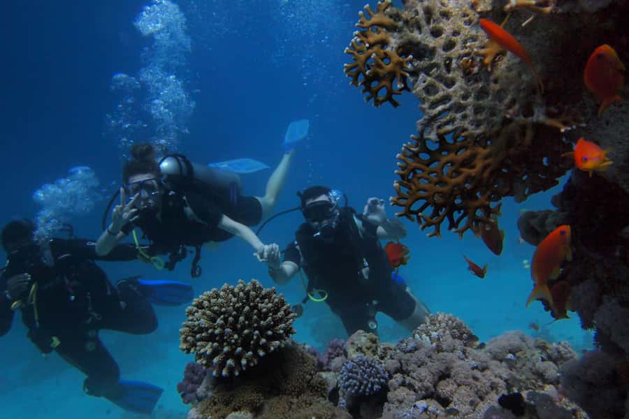 Sharm El-Sheikh: Guided Shore Scuba Diving at 2 Dives - Equipment and instructor: the part you want to be stress-free