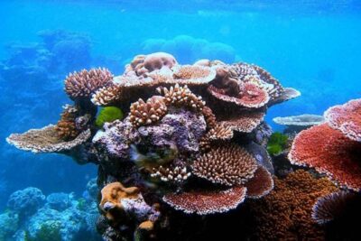 Sharm El-Sheikh: Jeep Adventure to Blue Hole, Canyon & Dahab - Colored Canyon: the 800-meter gorge and how to enjoy the walk