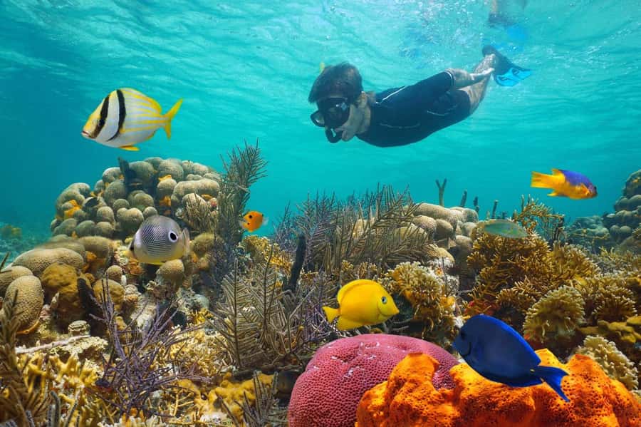 Sharm El Sheikh: Luxury boat Cruise with Snorkeling & Lunch - Setting off from Watanya Marina: the day starts easy