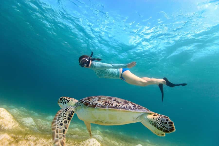 Sharm El Sheikh: Luxury boat Cruise with Snorkeling & Lunch - Lunch onboard: the value of not losing time on land