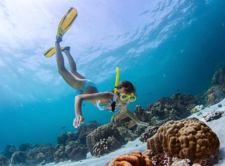 Sharm El Sheikh: Luxury boat Cruise with Snorkeling & Lunch - Price and fees: is $35 really a bargain?