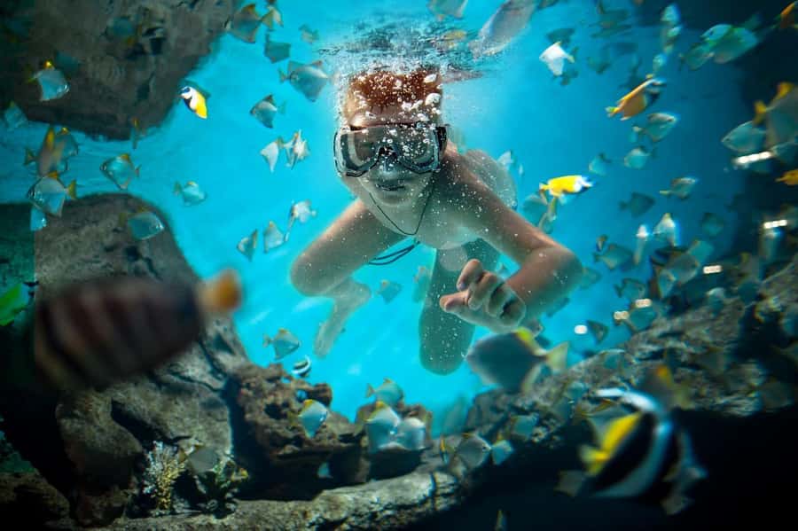 Sharm El Sheikh: Luxury boat Cruise with Snorkeling & Lunch - Should you book this Sharm El Sheikh boat cruise?