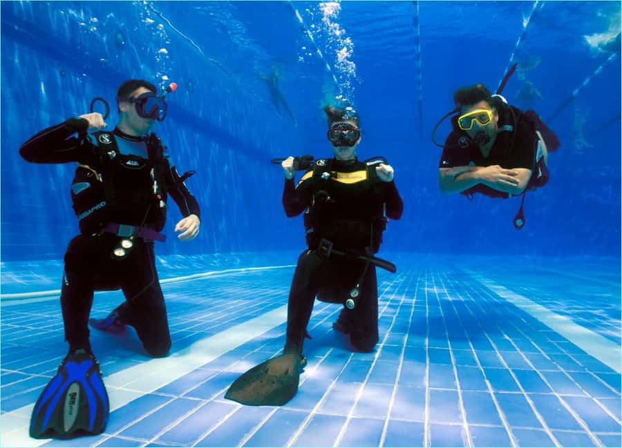 Sharm el Sheikh: PADI Diving Courses Package - Key things I’d zero in on before you book