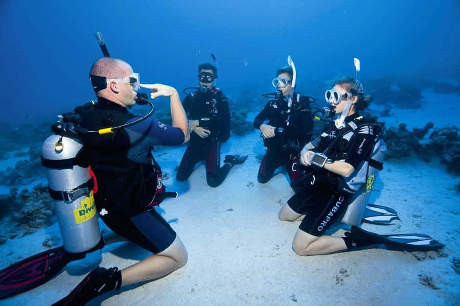 Sharm el Sheikh: PADI Diving Courses Package - Entering the Red Sea classroom: Why Sharm el Sheikh works