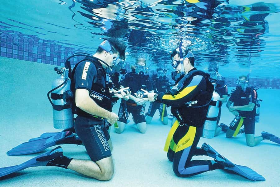 Sharm el Sheikh: PADI Diving Courses Package - Pool training and theory: the skills that make the sea feel safer