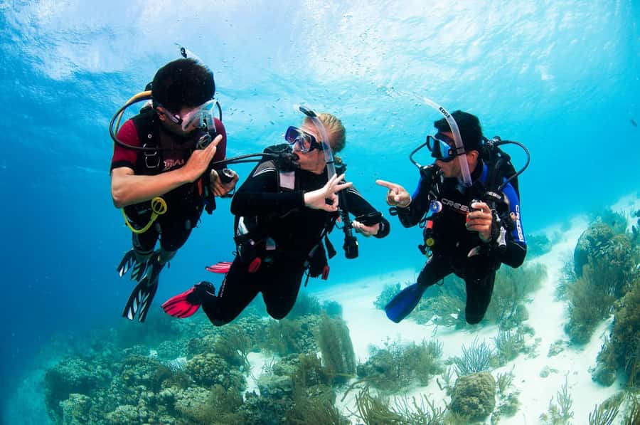 Sharm el Sheikh: PADI Diving Courses Package - Instructor quality: calm teaching beats nerves