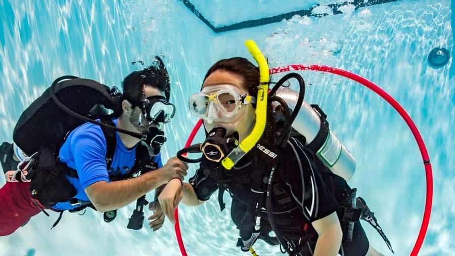 Sharm el Sheikh: PADI Diving Courses Package - Equipment, meals, and certification fees: the real cost picture