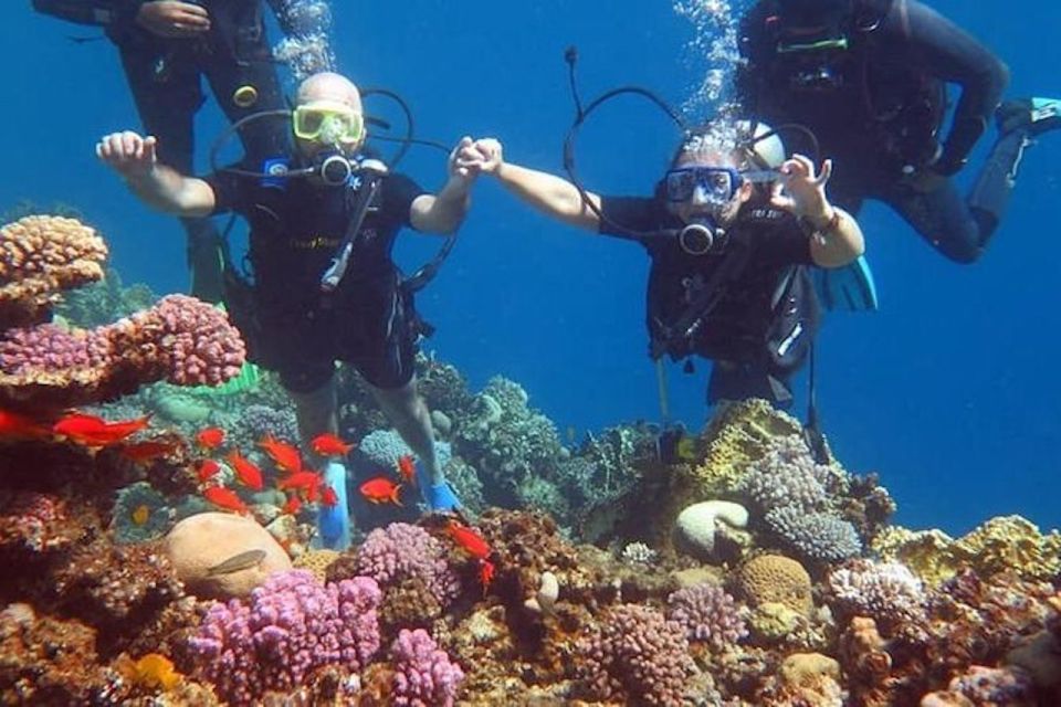 Sharm El-Sheikh: Parasailing, Camel Ride, Dive & Quad Bike - Parasailing Over Sharm El-Sheikh: Flying Without the Pilot Stress
