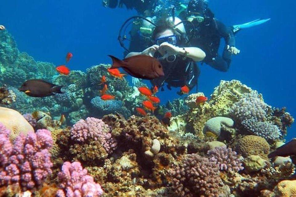 Sharm El-Sheikh: Parasailing, Camel Ride, Dive & Quad Bike - What to Bring (and What You Must Send in Advance)