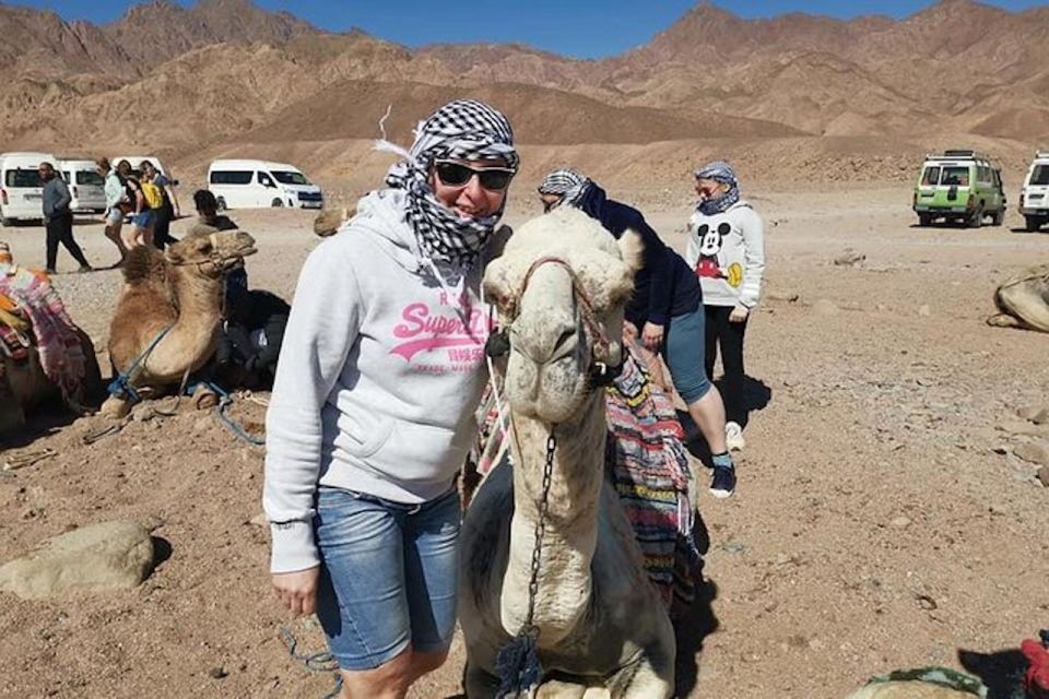 Sharm El-Sheikh: Parasailing, Camel Ride, Dive & Quad Bike - Choosing the Right Option: Full Day or Sea-Only