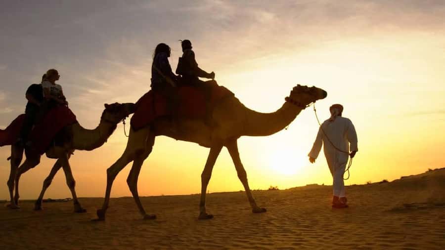 Sharm El Sheikh: Quad Biking, Camel Ride & Bedouin Dinner. - Quad Biking in Sharm for $51: Good Value, Real Expectations