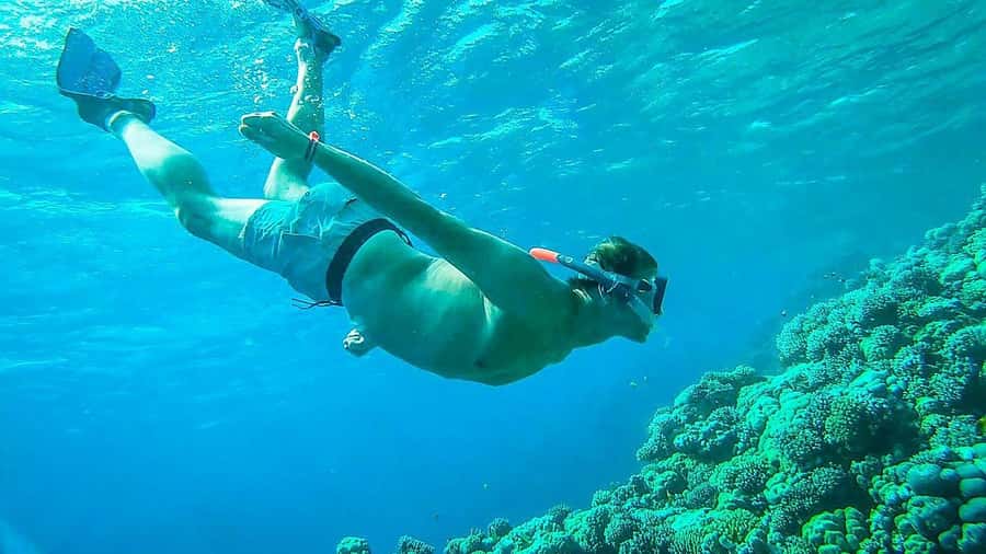 Sharm El Sheikh: Ras Mohamed and White island cruise - Ras Mohammed and White Island: what this 7-hour trip really feels like