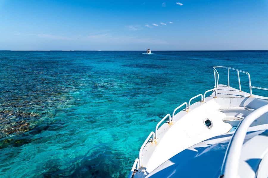Sharm El Sheikh: Ras Mohamed and White island cruise - Marina entrance fee and other small costs you shouldn’t miss