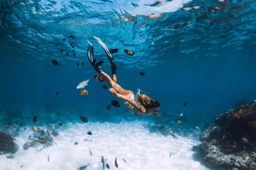 Sharm El Sheikh: Ras Mohamed and White island cruise - Price and timing from Sharm: why the schedule matters