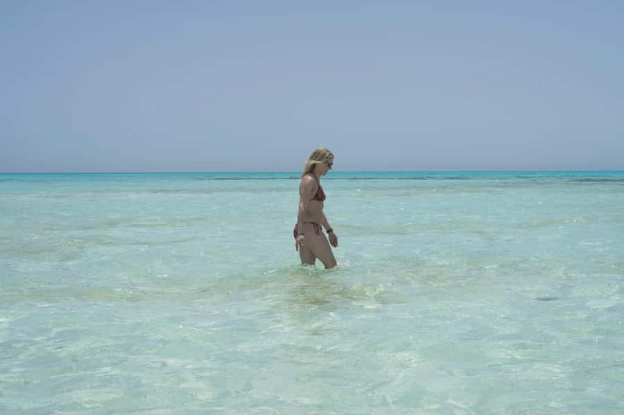 Sharm El Sheikh: Ras Mohamed Cruise with Snorkeling & Lunch - Price and value: $31 for a full marine half-day