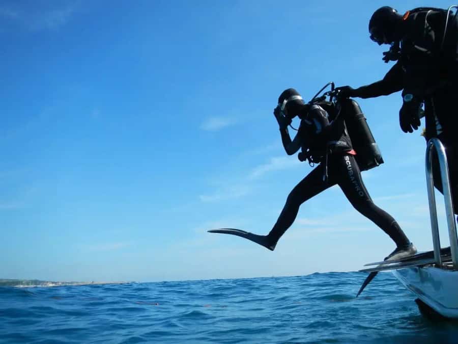 Sharm El Sheikh: Ras Mohamed & White Island Dive & Snorkel - Ras Mohamed and White Island: Why This Combo Works