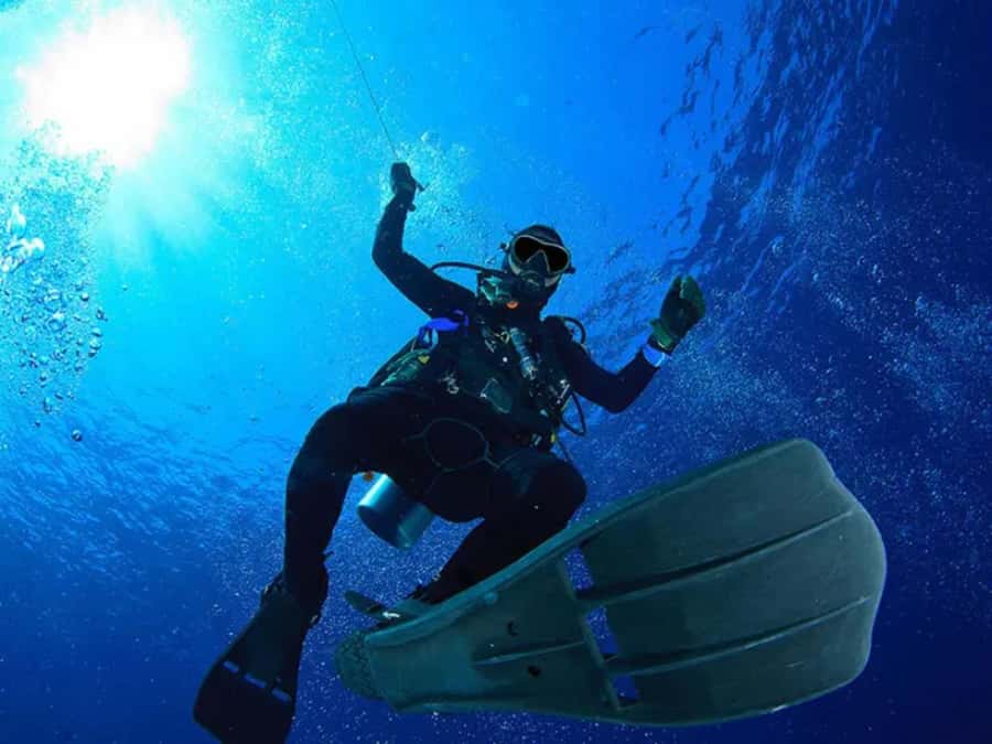 Sharm El Sheikh: Ras Mohamed & White Island Dive & Snorkel - What to Bring (And the One Admin Detail People Forget)