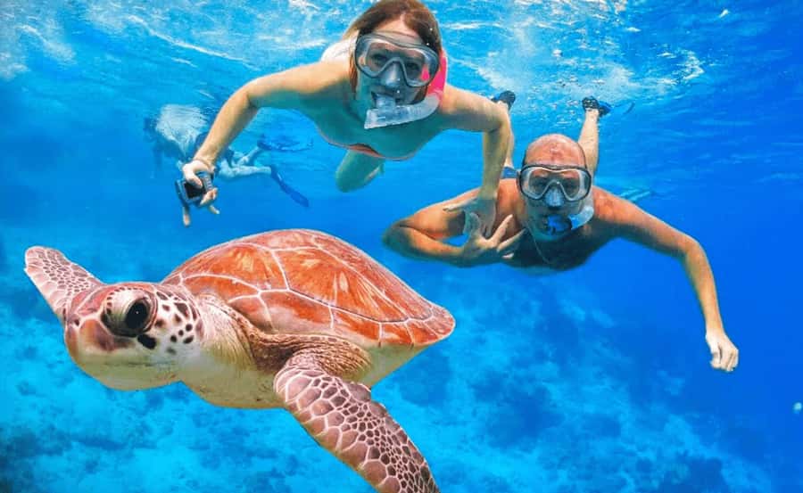Sharm El Sheikh: Ras Mohamed & White Island Dive & Snorkel - Getting Picked Up and Settling Into the Yacht