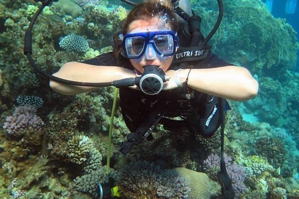 Sharm El Sheikh: Ras Mohamed & White Island Snorkel or Dive - Getting there from Sharm El Sheikh: pickup rules and what to do now