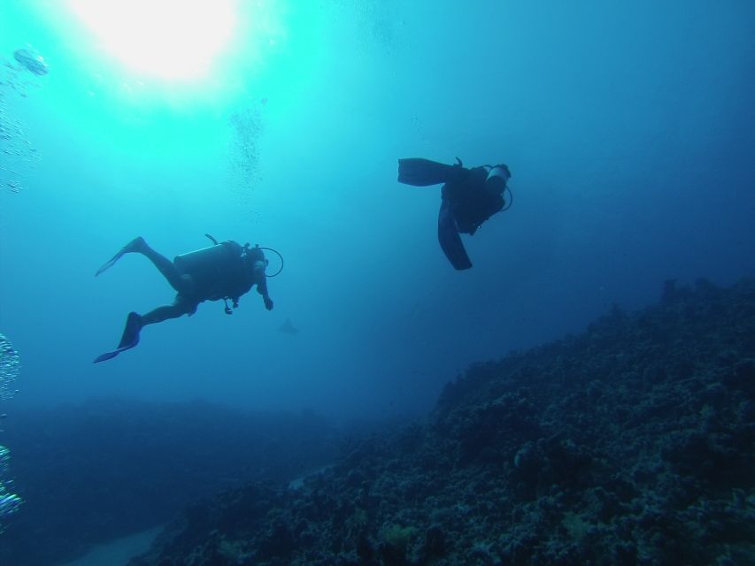 Sharm El Sheikh: Ras Mohamed & White Island Snorkel or Dive - On the water schedule: briefing, stops, and what each one is for