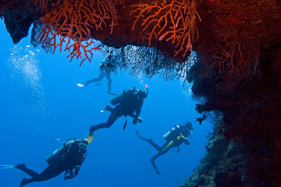 Sharm El-Sheikh: Ras Mohamed & White Island Snorkeling Trip - Ras Mohammed and White Island: the day’s rhythm from pickup to return