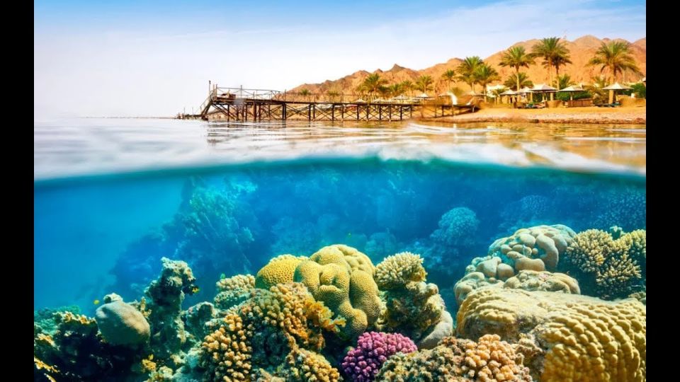 Sharm El-Sheikh: Ras Mohamed & White Island Snorkeling Trip - Who this trip suits best (and who should rethink it)