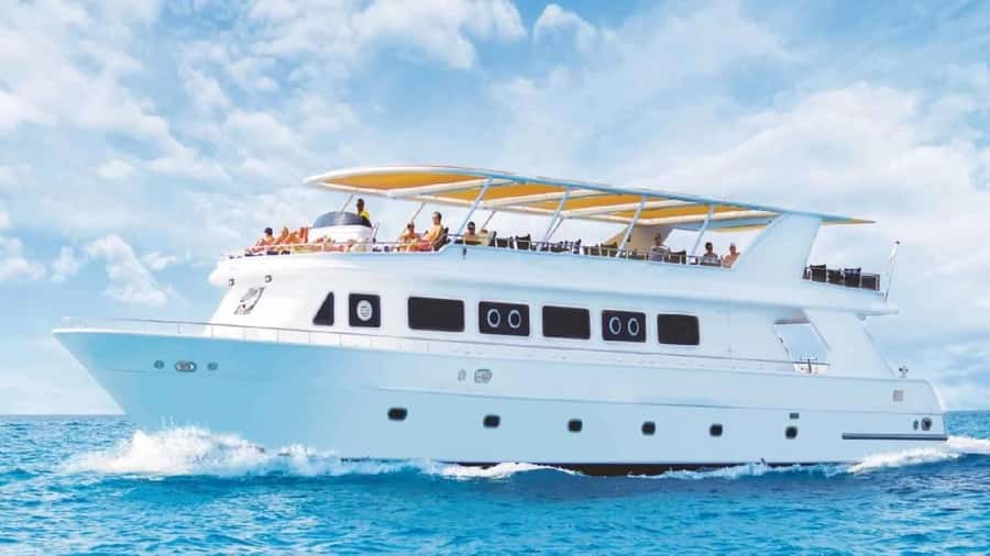 Sharm El Sheikh: Red Sea Cruise with Dinner & Transfer. - Sharm El Sheikh dinner cruise: the “why” behind the 3 hours