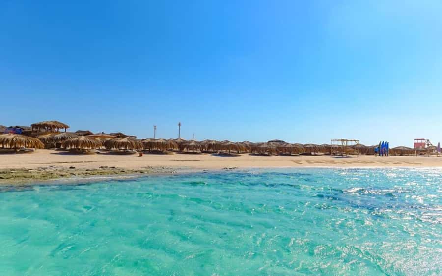 Sharm El Sheikh: Red Sea Cruise with Dinner & Transfer. - Taste of the Red Sea night: Egyptian flavors without the planning