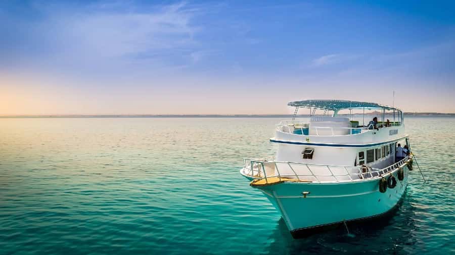 Sharm El Sheikh: Red Sea Cruise with Dinner & Transfer. - Booking smart: time slots, flexibility, and how to avoid disappointment