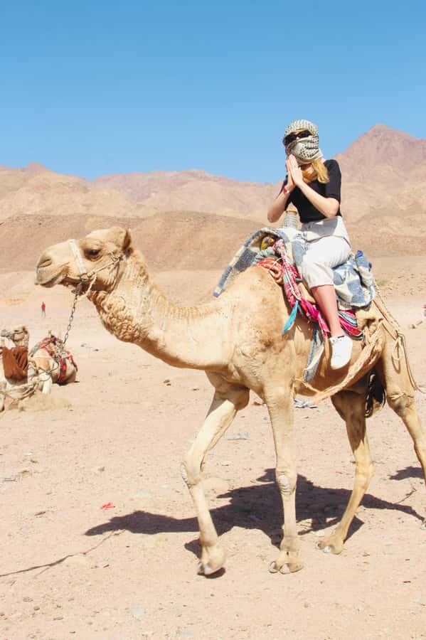 Sharm El Sheikh: Red Sea Scuba Diving Experience - Equipment and What’s Covered in the Price