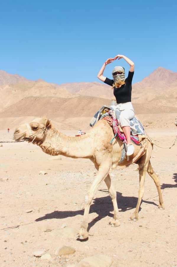 Sharm El Sheikh: Red Sea Scuba Diving Experience - What to Bring (and the One Underwater Rule You Must Follow)