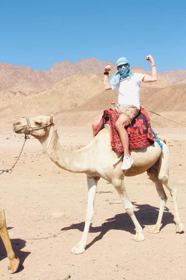 Sharm El Sheikh: Red Sea Scuba Diving Experience - Languages and Communication: Getting Clear Instructions