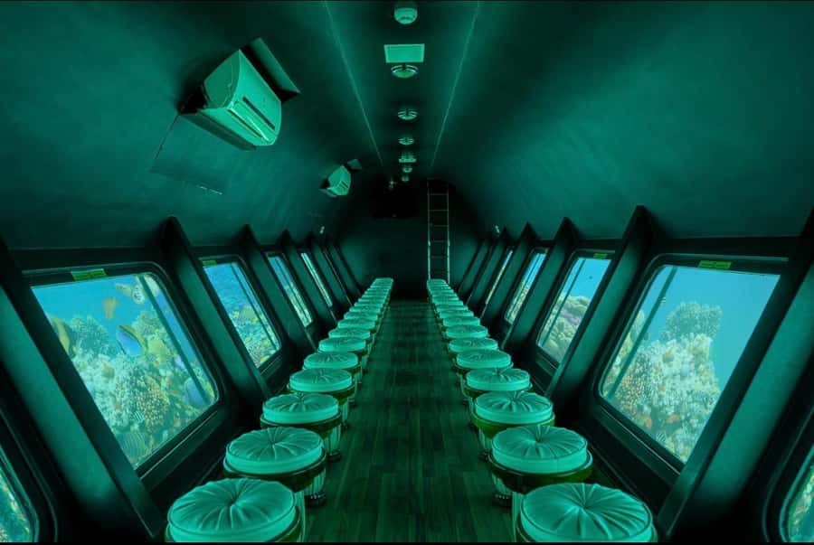 Sharm El-Sheikh: Royal Seascope Submarine Cruise with Pickup - What you can realistically expect to see in the Red Sea