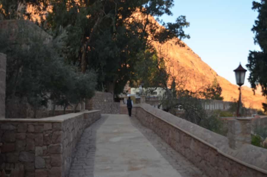 Sharm El Sheikh: Saint Catherine's Monastery Private Tour - Dahab beach lunch: the smart reset on the return drive