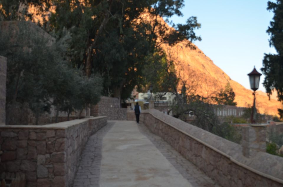 Sharm El Sheikh: Saint Catherine's Monastery Private Tour - Price and value at $185 per person