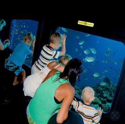 Sharm El-Sheikh: Seascope Submarine boat cruise with pickup - From Marina to Reef: What the 15-Minute Boat Ride Adds