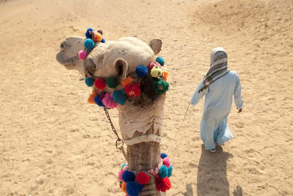 Sharm El-Sheikh: Ultimate ATV Quad, Stargazing & BBQ Dinner - The real-world pros and cons I’d weigh before booking