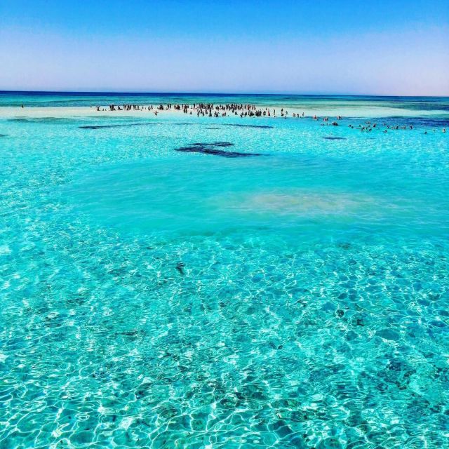 Sharm El Sheikh: White Island & Ras Mohamed Park - Snorkeling Near Ras Mohamed: Where the Marine Life Shows Up