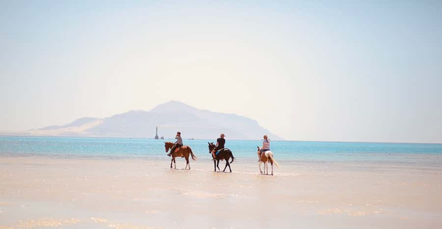 Sharm El Shiekh: Beach and City Desert Horse Riding Tour - Price and Value: Is $98 Worth It?