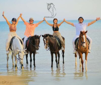 Sharm El Shiekh: Beach and City Desert Horse Riding Tour - The Red Sea Beach Moment: Getting Wet Without Losing the Plot